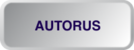АВТОРУСЬ