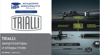 Воркшоп Академии GROUPAUTO с представителеми бренда TRIALLI